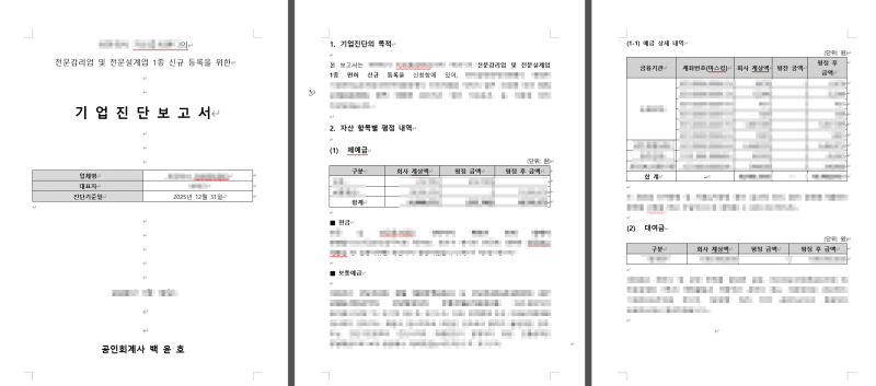 전문설계업(전문감리업) 기업진단보고서, 단 1번만에 승인받은 사례 (자본금 중복 인정)